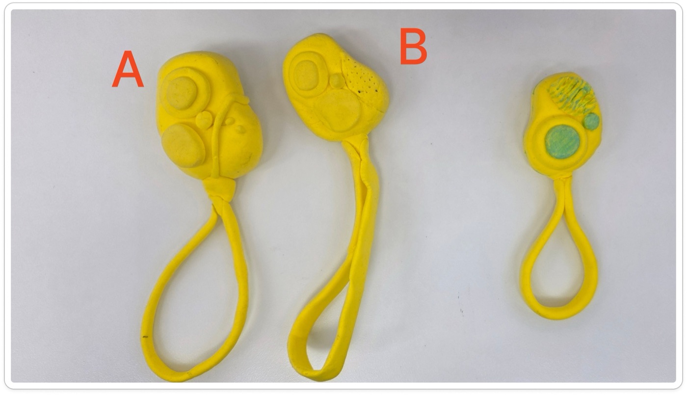 Foam prototype of CuePo