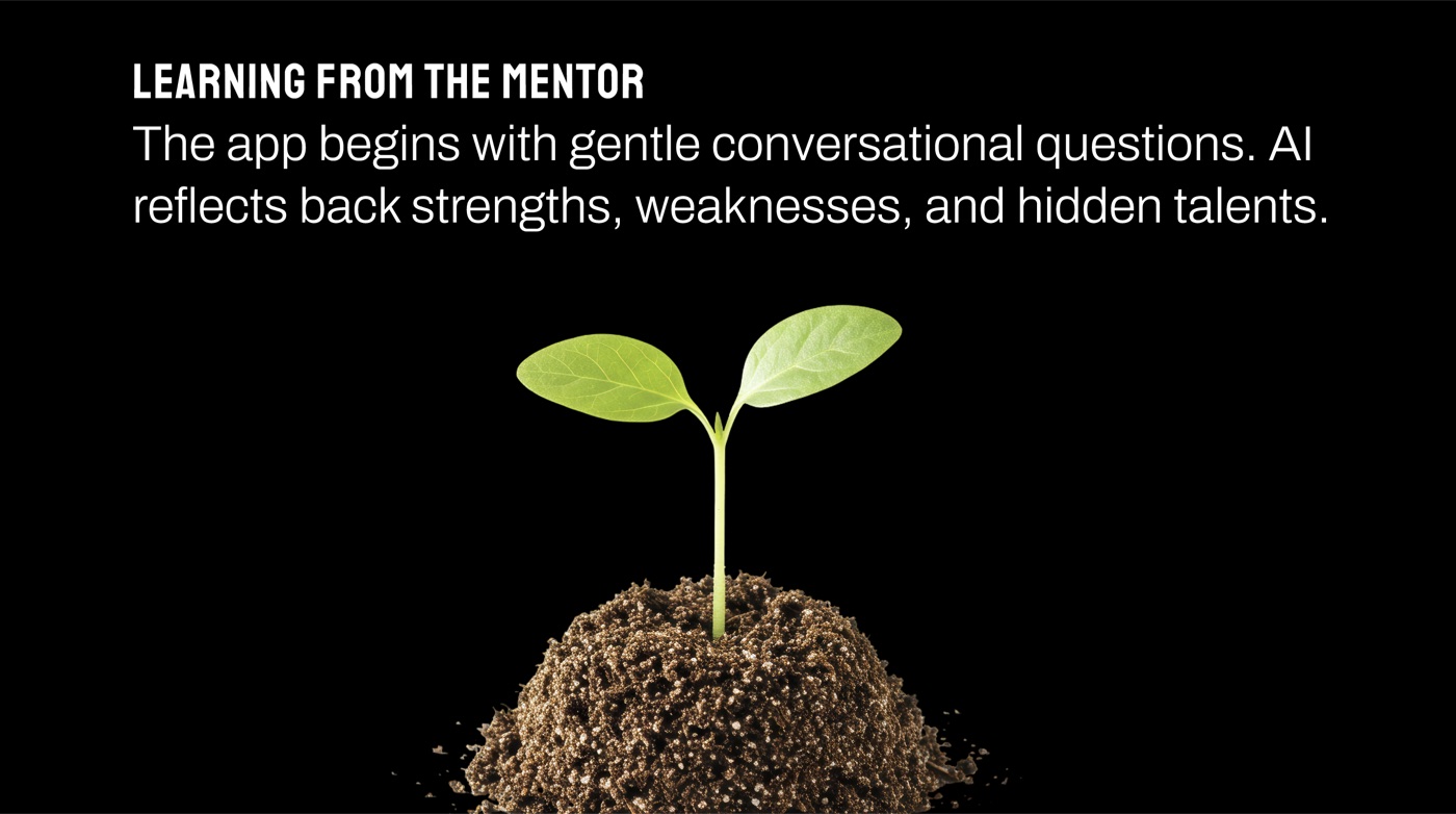 Learning from the Mentor slide